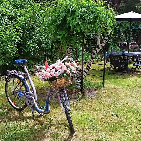Willa Retro Hostel & Garden-3